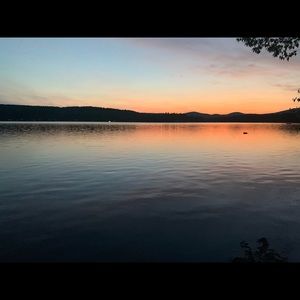 Meet your Posher, Lily